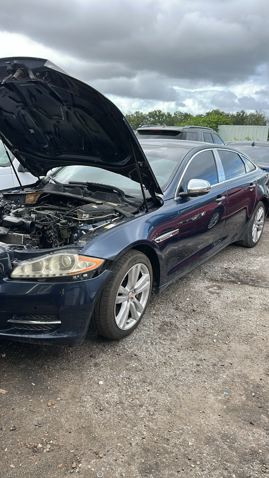 Genuine Jaguar XJ Front Left Driver Side Fender Molding C2D45746 OEM